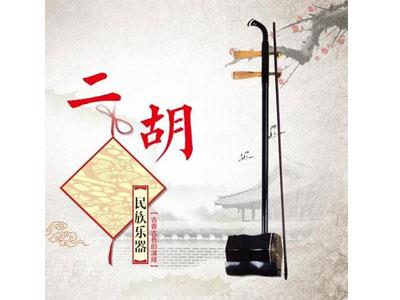 招聘赣州二胡家教老师